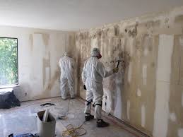 Best Industrial Mold Remediation  in Chlicothe, IL